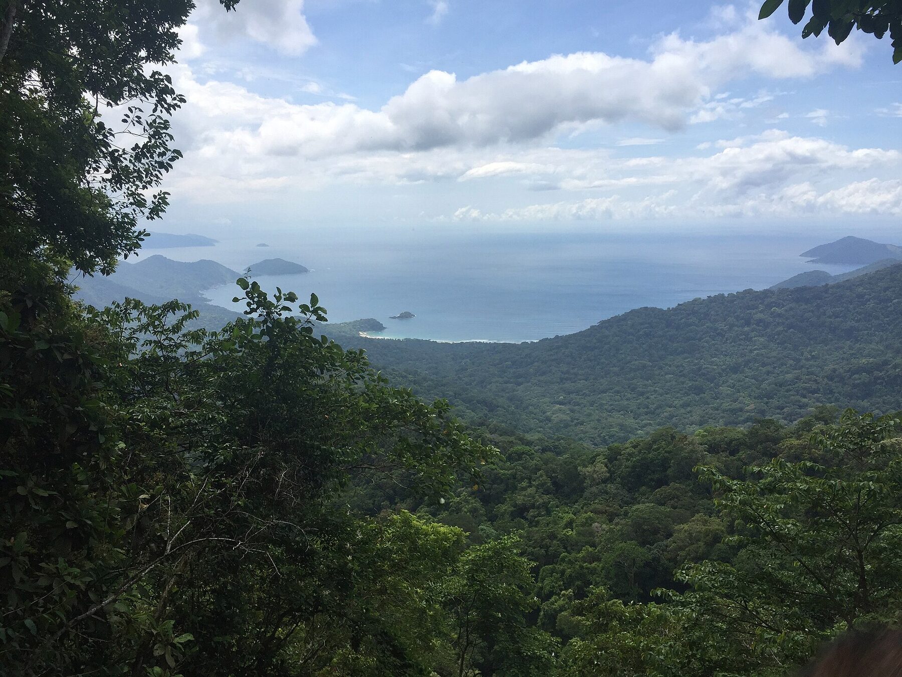 Vista elevada da Mata Atlântica em direção à Praia de Castelhanos