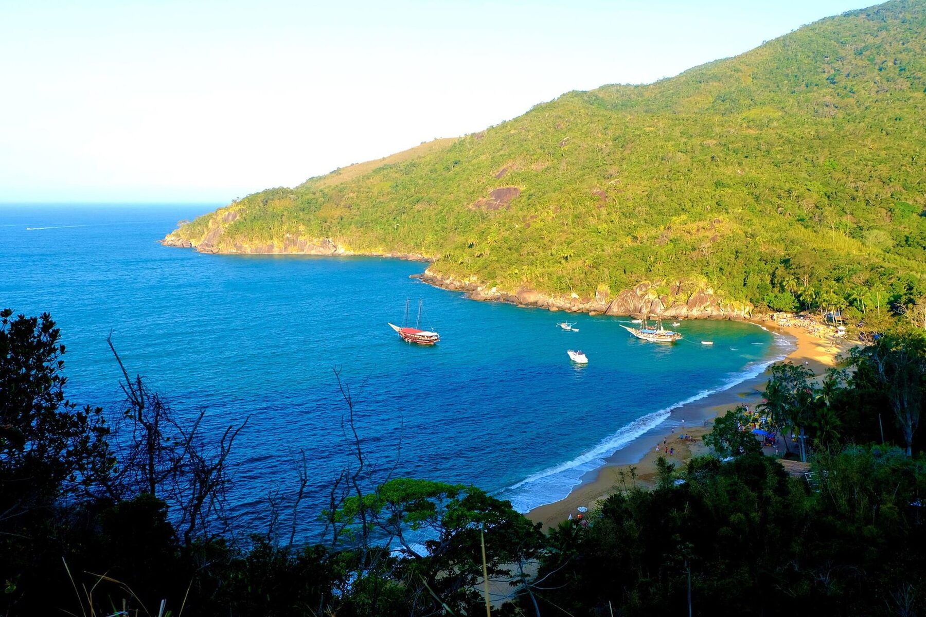 Praia do Jabaquara vista do alto, cercada pela Mata Atlântica